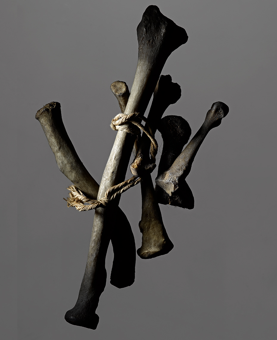 DavidLewisTaylor-Botanicals_040