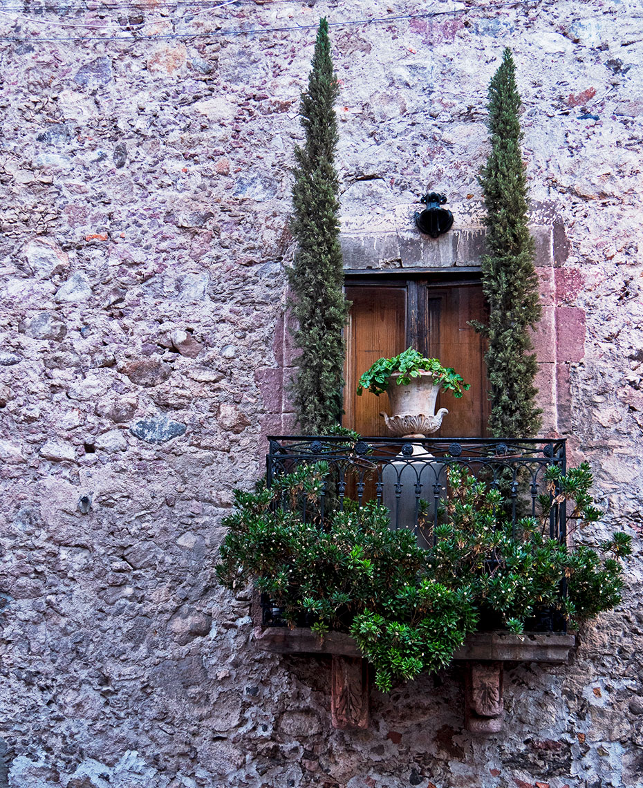 DavidLewisTaylor_SanMiguel_050