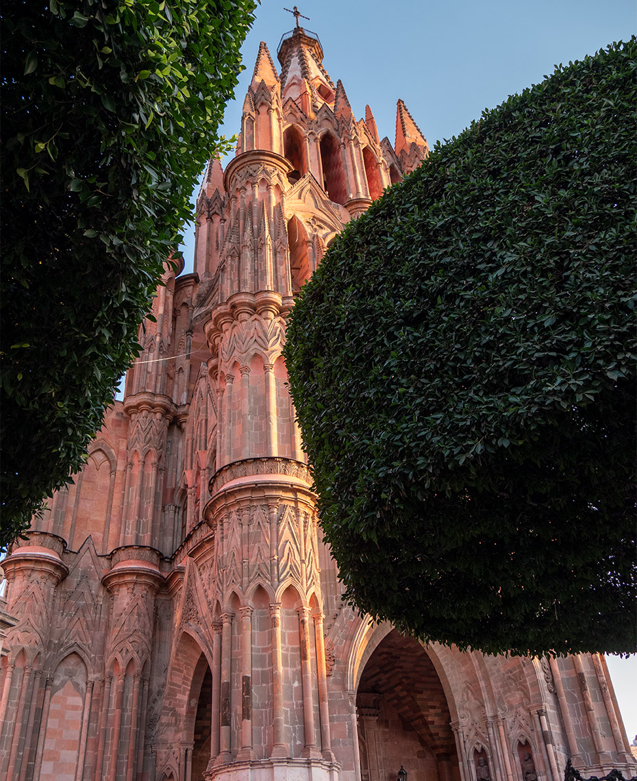 DavidLewisTaylor_SanMiguel_051